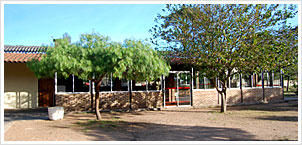 Parrillero, Polideportivo Carrasco