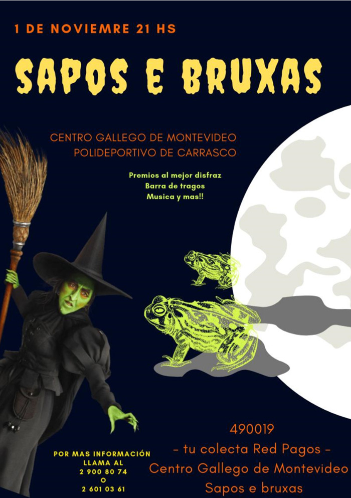 sapos-e-bruxas